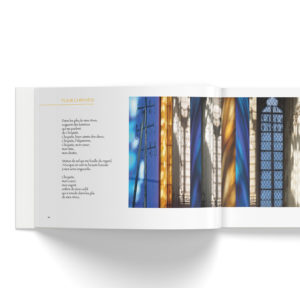 livre d'Yves Phelippot